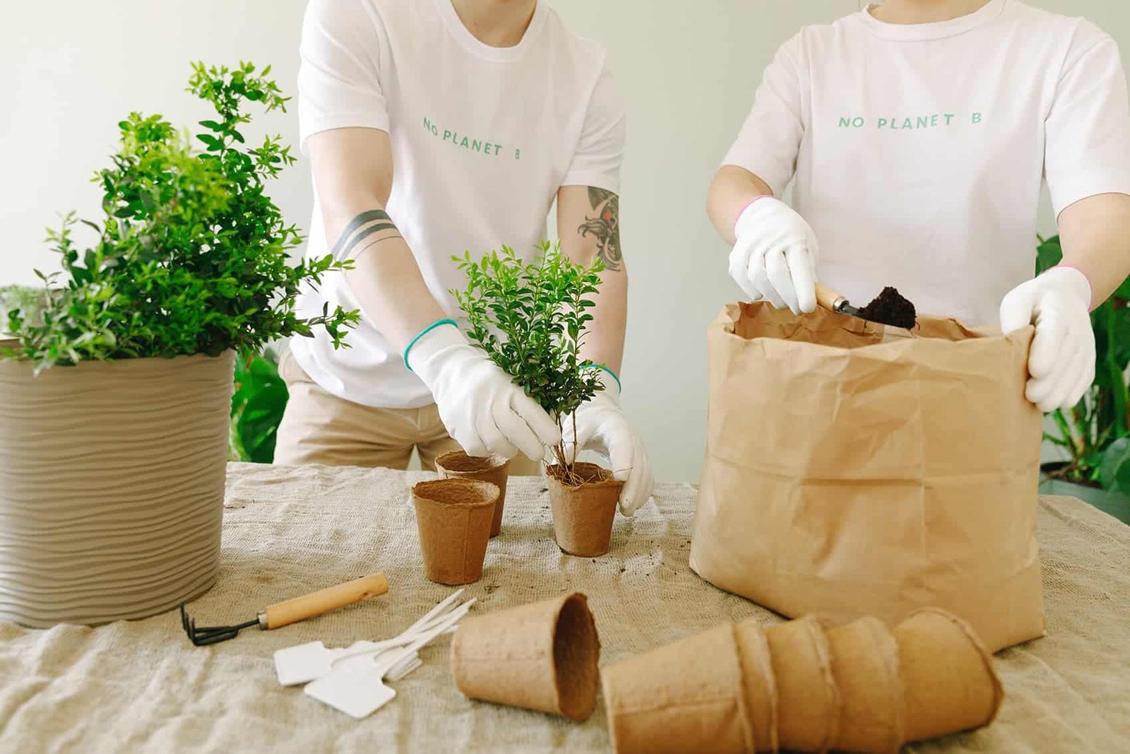 pexels thirdman 7655912